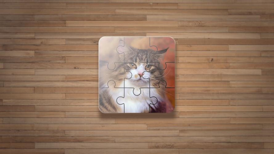 Cat Puzzle Game