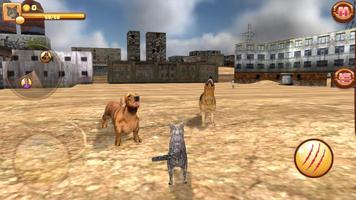 Homeless Cat Simulator