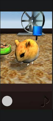 Hamster3D