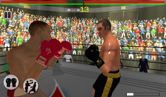 Real 3D Boxing Punch