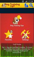 Dog Training Tips 2015