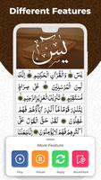 Surah Yasin | Surah Yaseen