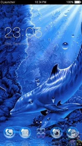 Dolphin Ocean Theme HD