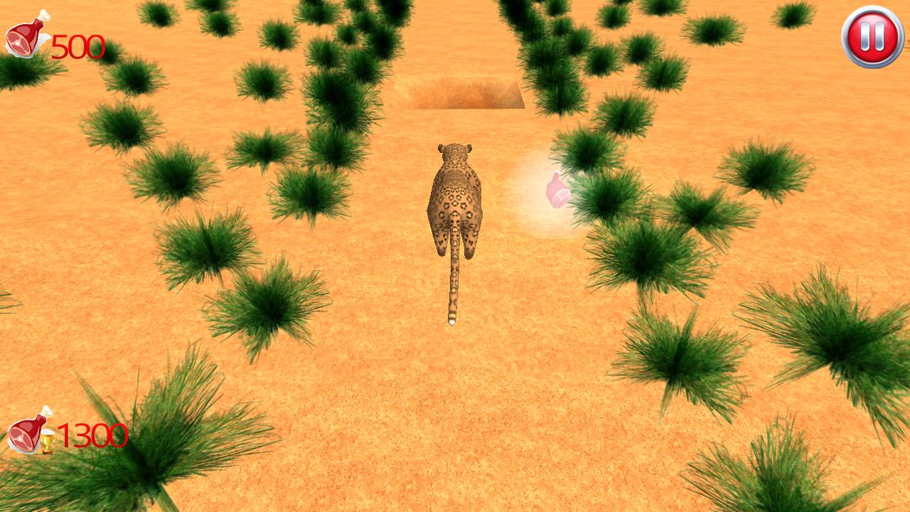 Leopard Run 3D