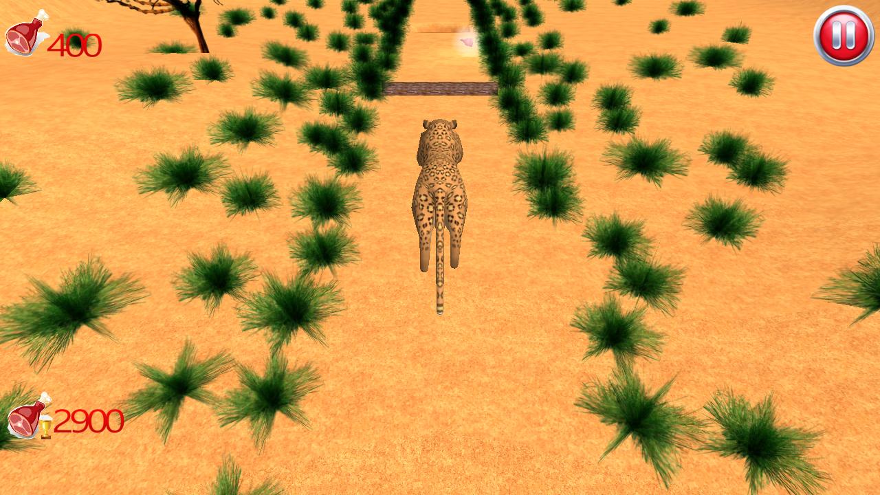 Leopard Run 3D