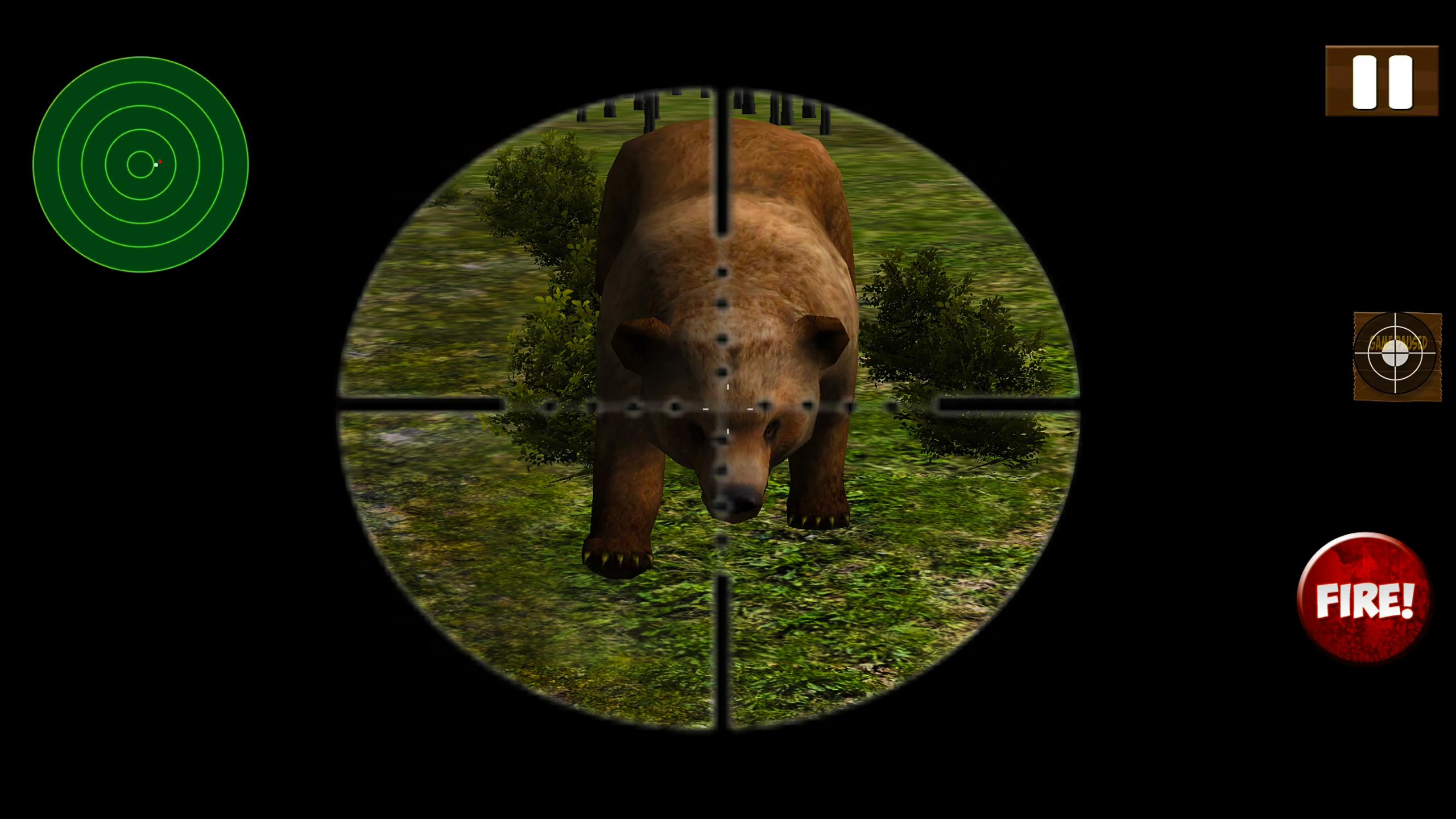 Jungle Bear Shooting Game