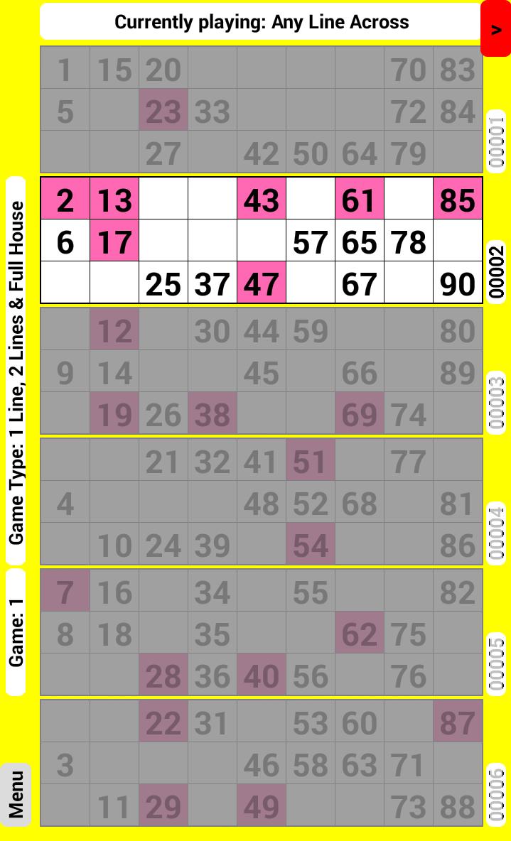 Bingo Tickets 90