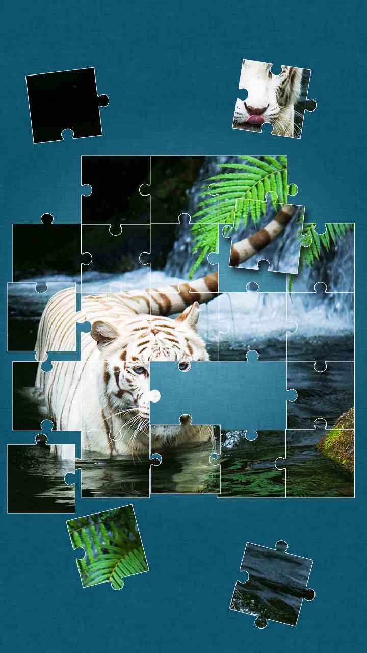 Tigers Jigsaw Puzzle