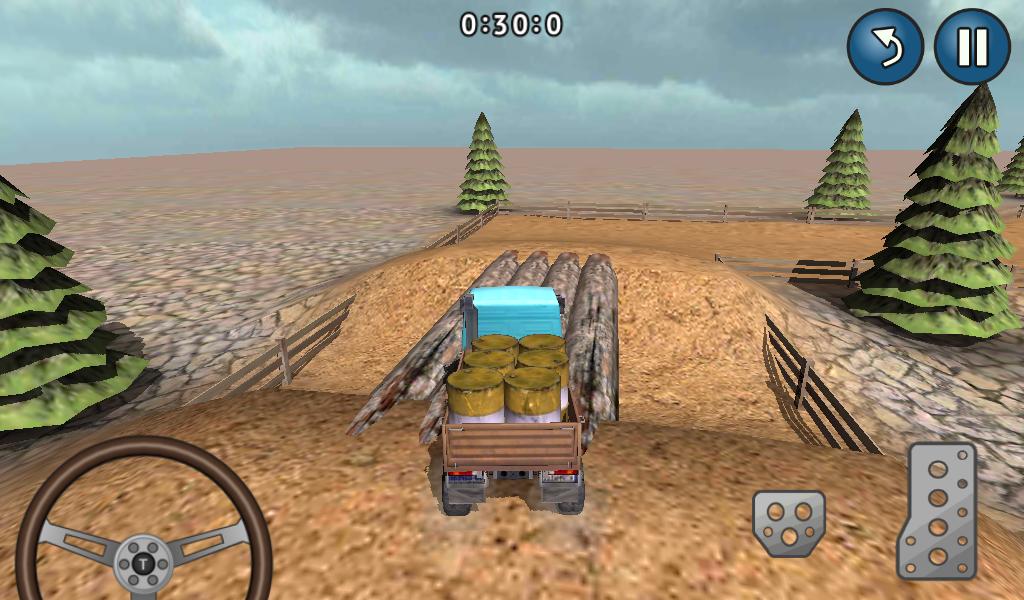 Truck Delivery 3D