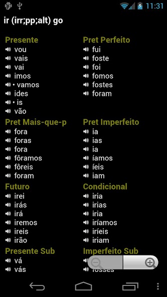 Portuguese Verbs