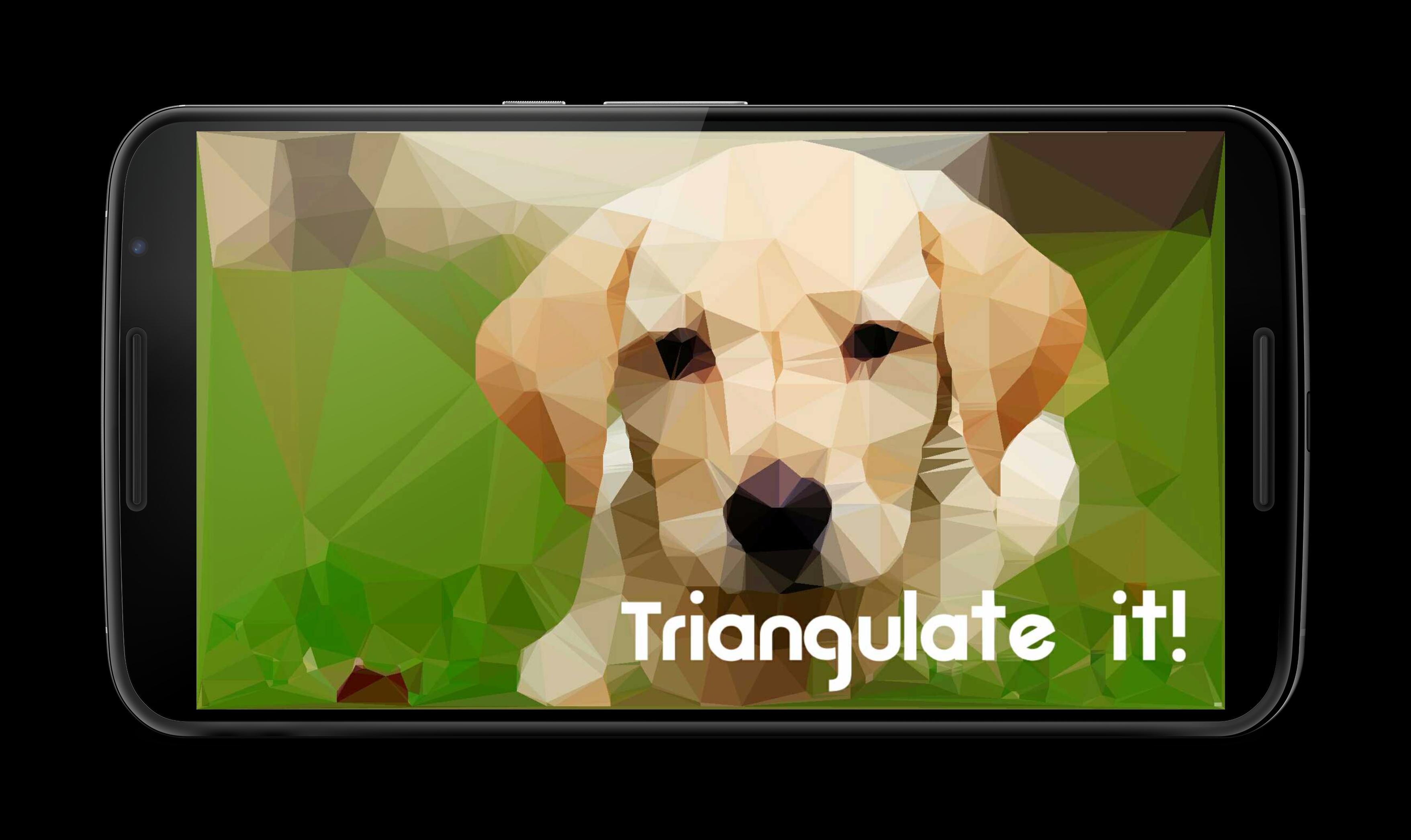 Triangulate it!