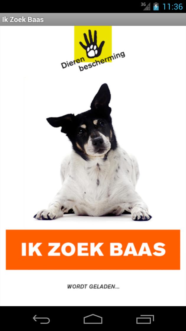 Ik zoek baas