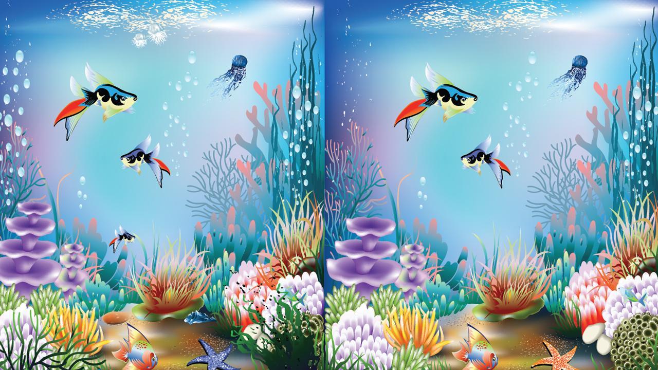 Underwater Find Differences