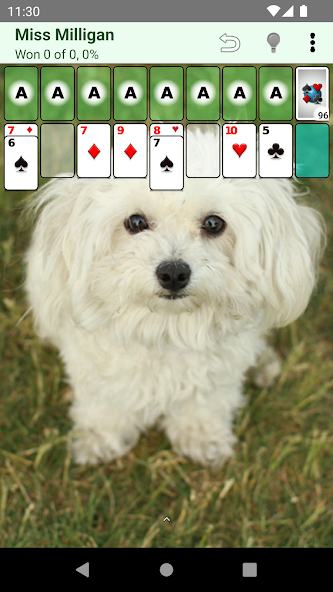 Patience Revisited Solitaire