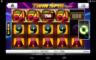 Twin Spin Slots