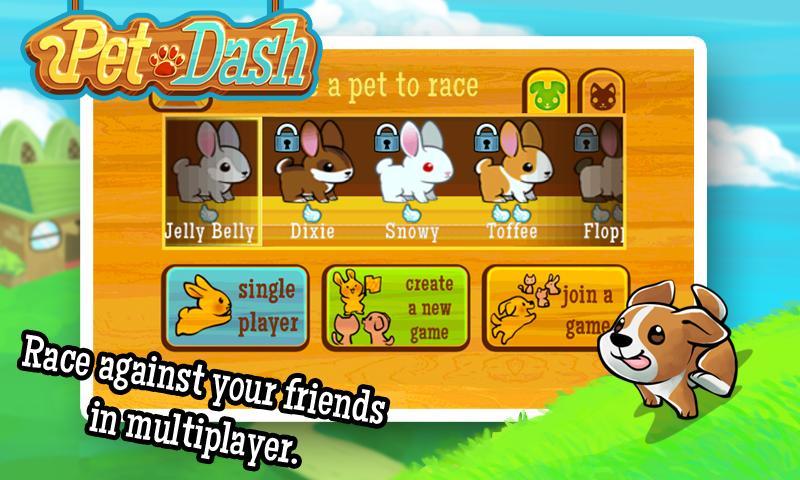 Pet Dash - Multiplayer