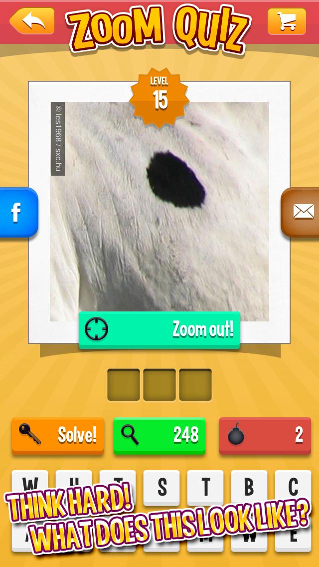 Zoom Quiz