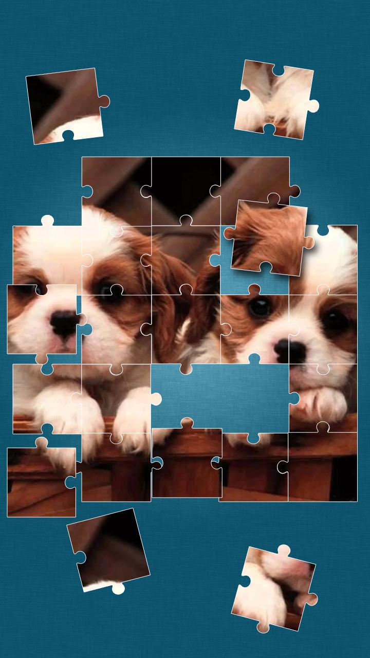 Cute Dogs Jigsaw Puzzle