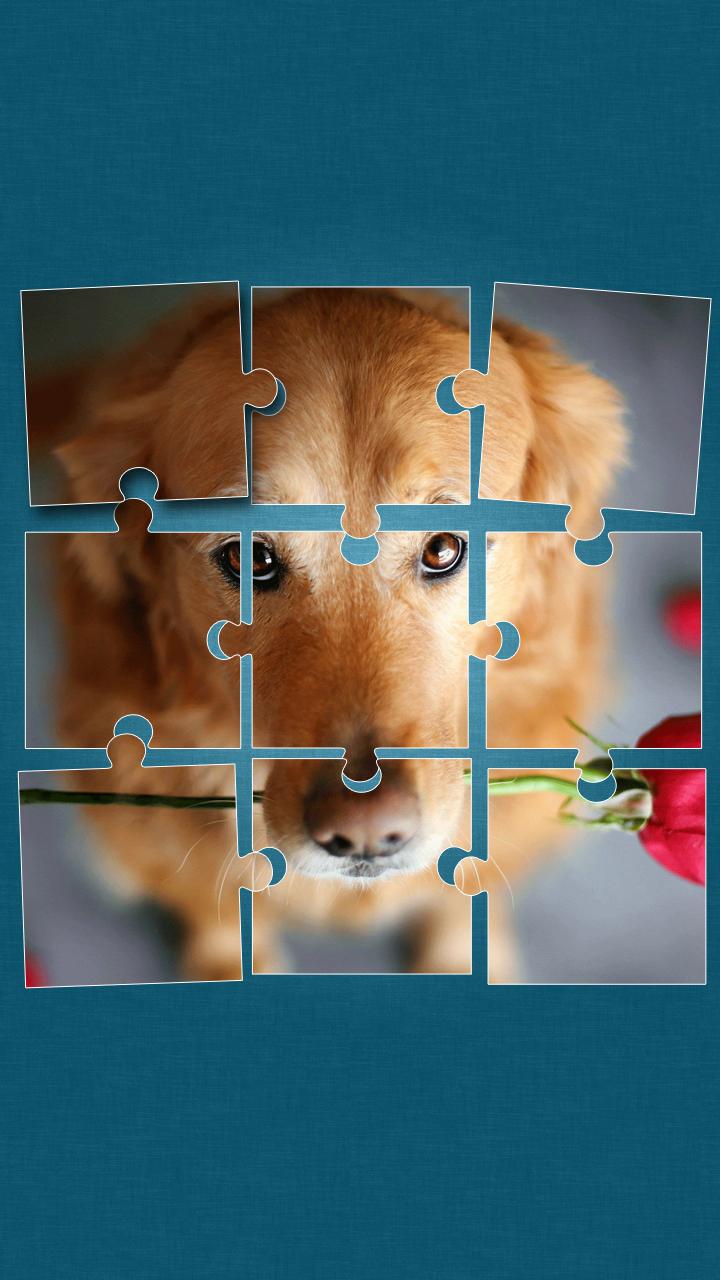 Cute Dogs Jigsaw Puzzle