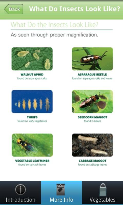 OK Vegetable Checking Guide