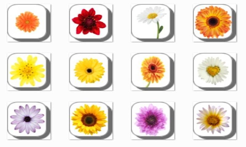 New Daisy Flowers Onet Game