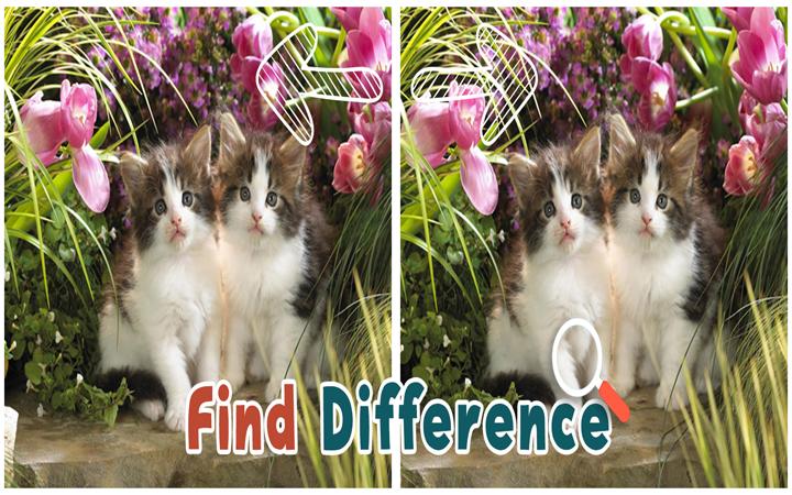 Find 5 Difference : Cats