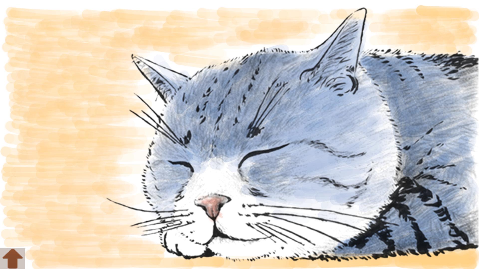 Coloring adult (Cat)