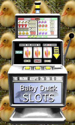 3D Baby Duck Slots - Free