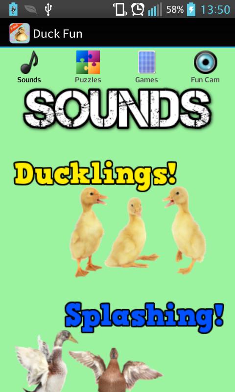 Duck Games for Toddlers - Free