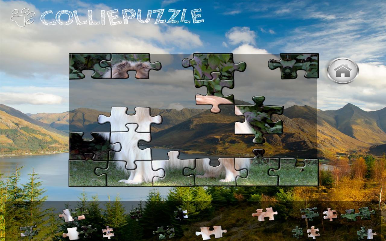 Collie Puzzle