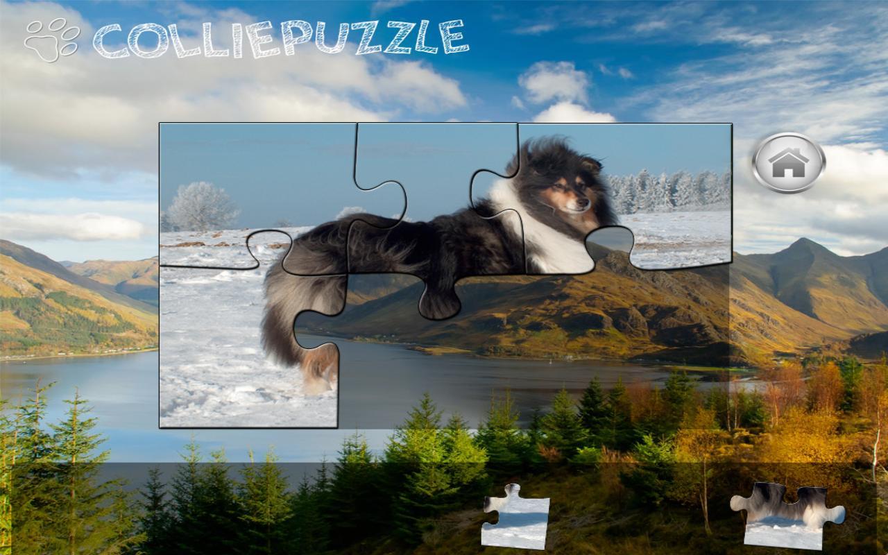 Collie Puzzle