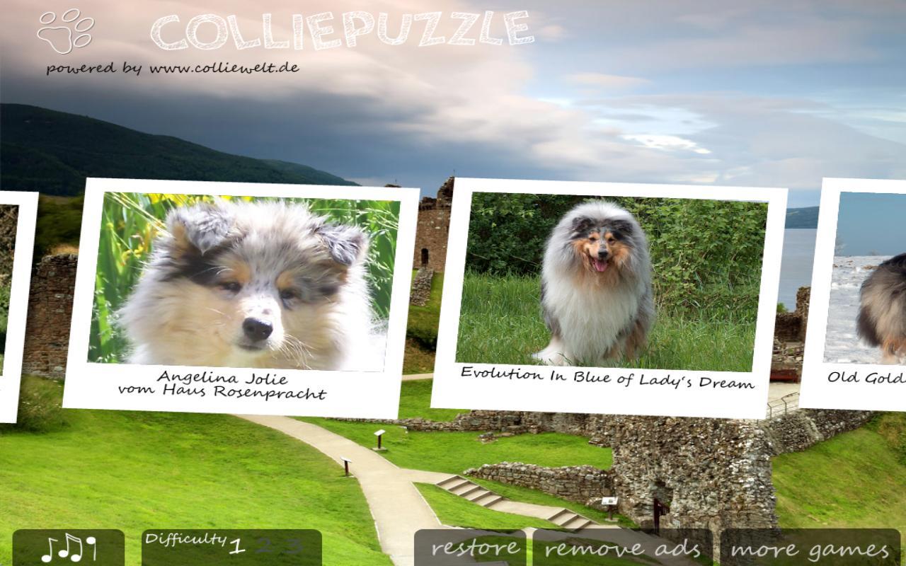 Collie Puzzle