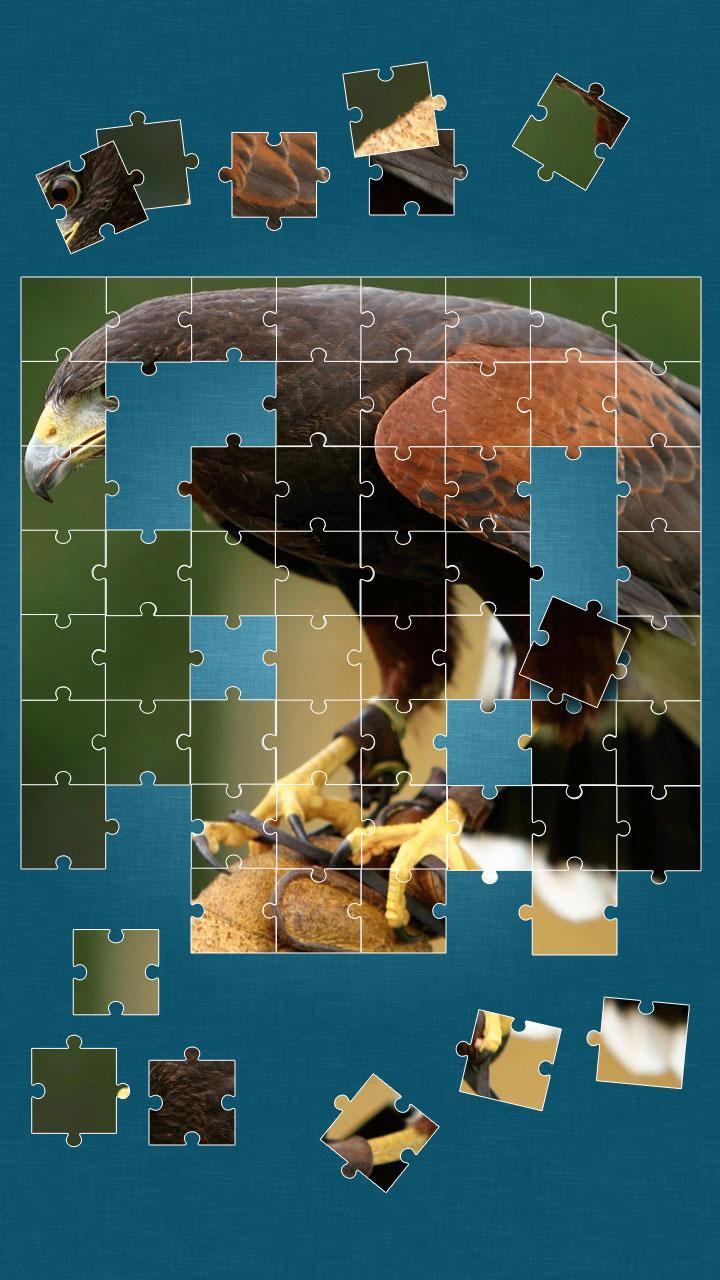 Birds Jigsaw Puzzle