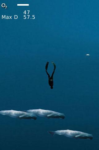 Freediver