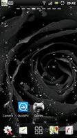 black rose live wallpaper