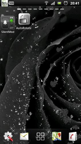 black rose live wallpaper