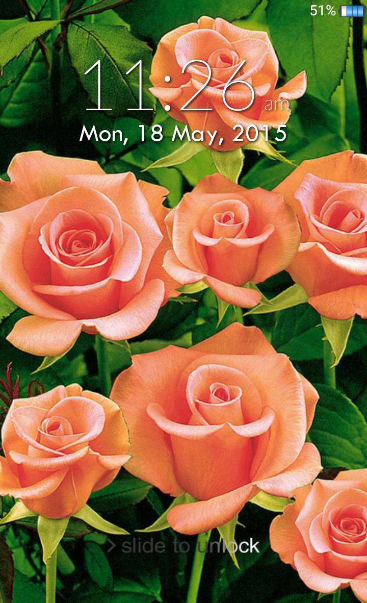 Rose Lock Screen