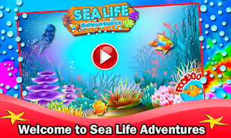 Sea Life Adventures