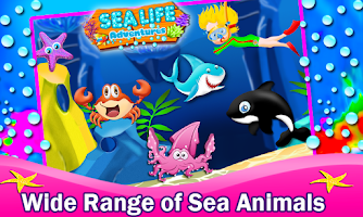 Sea Life Adventures