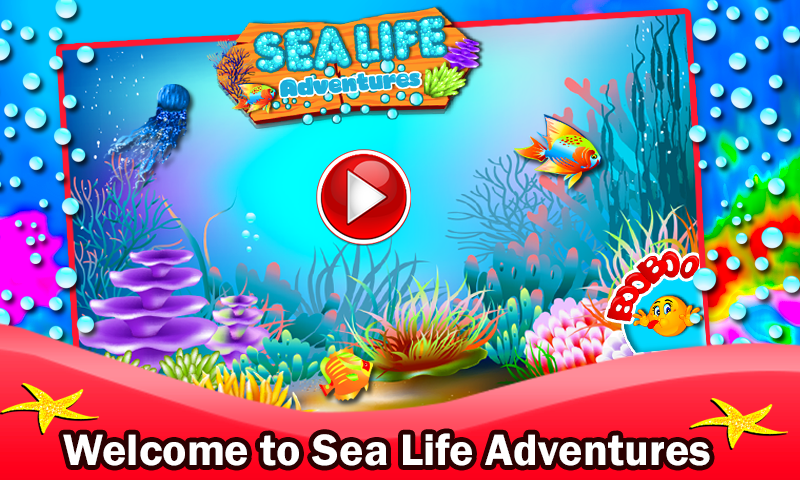 Sea Life Adventures