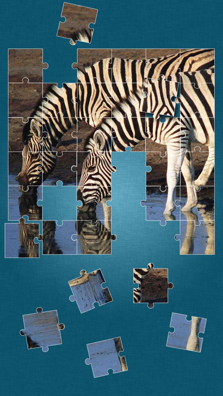 Zebras Puzzle Game