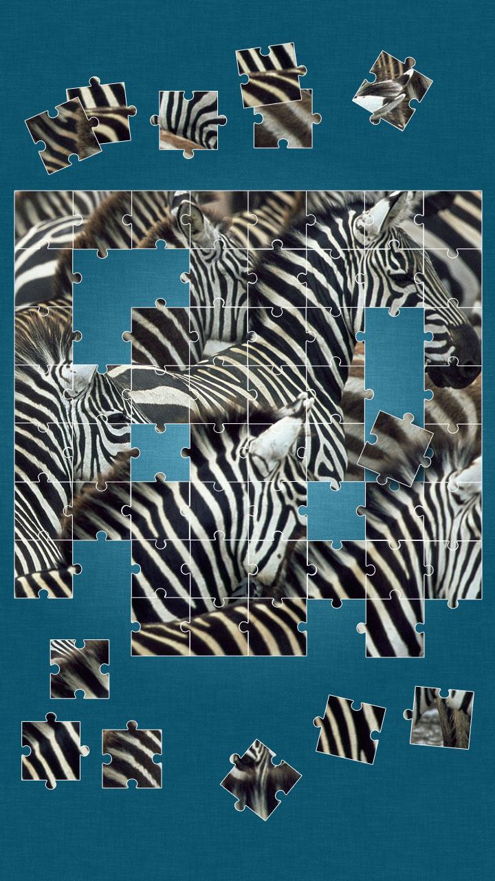 Zebras Puzzle Game