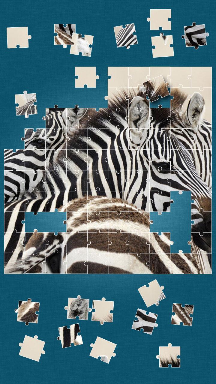 Zebras Puzzle Game