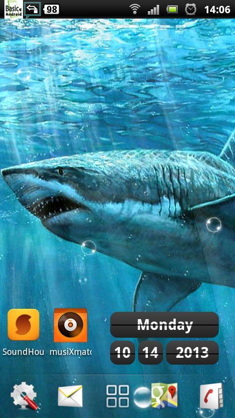 sharks live wallpapers