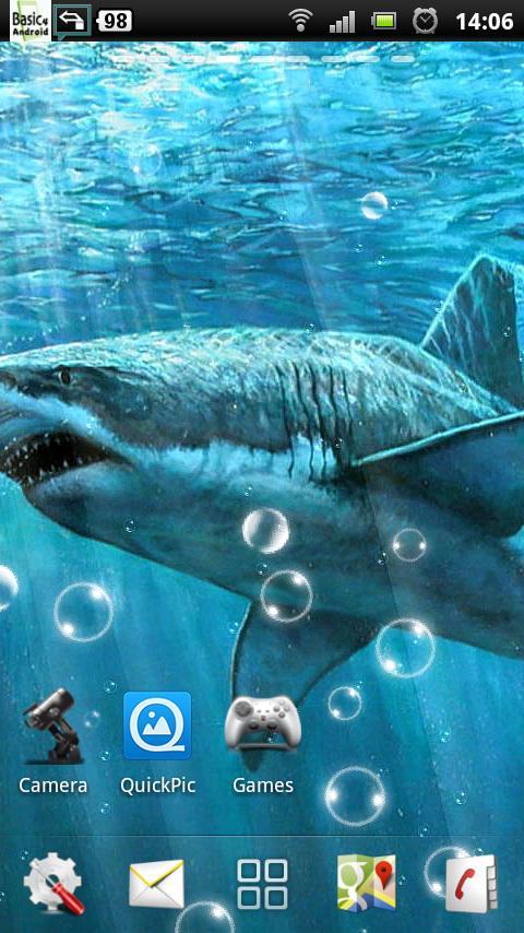 sharks live wallpapers