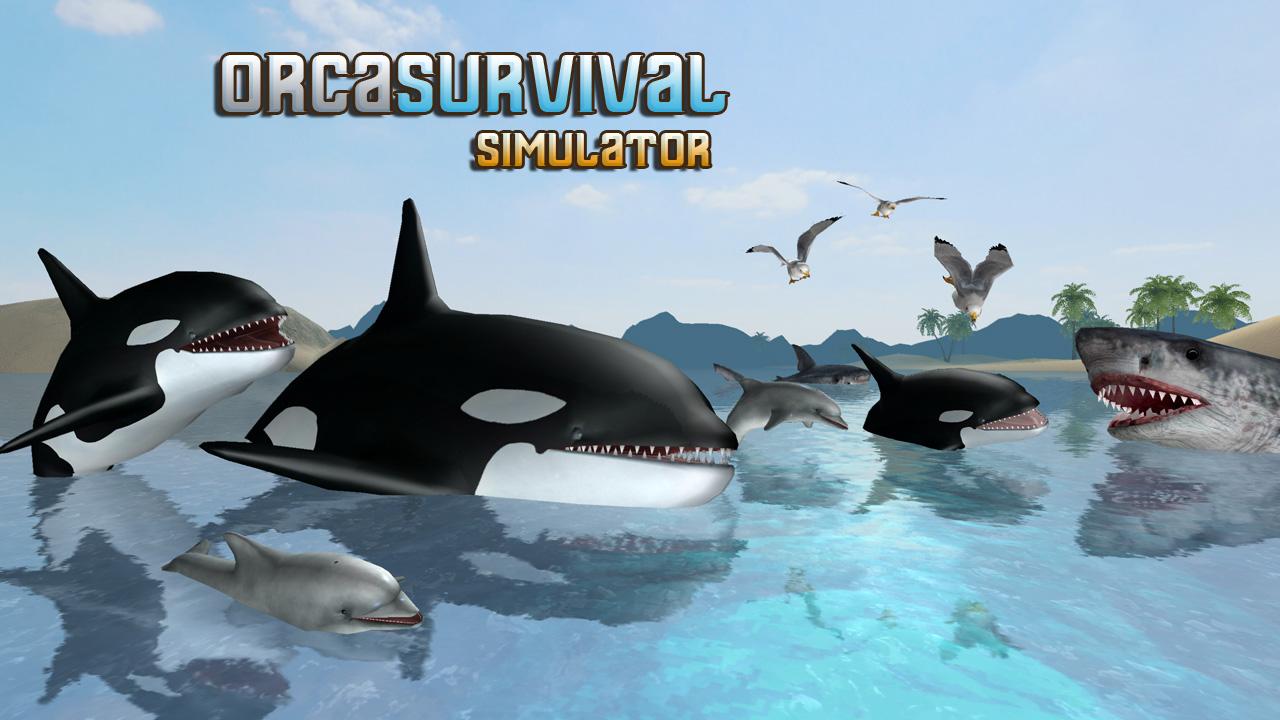 Orca Survival Simulator