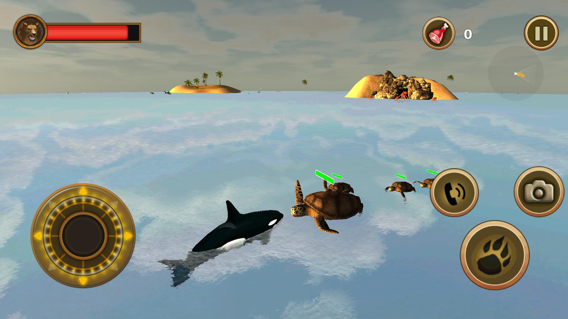 Orca Survival Simulator