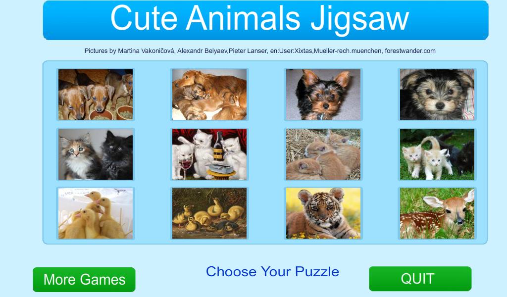 Cute Animals Jigsaw