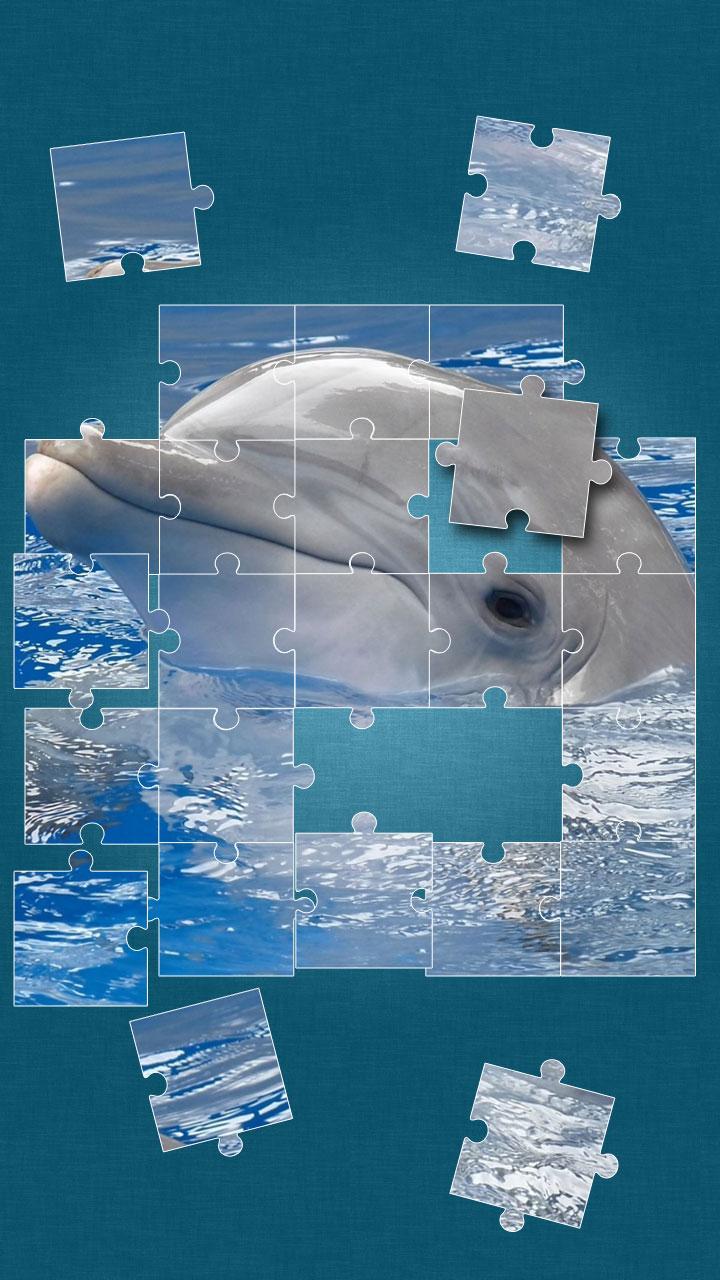 Dolphins Jigsaw Puzzle