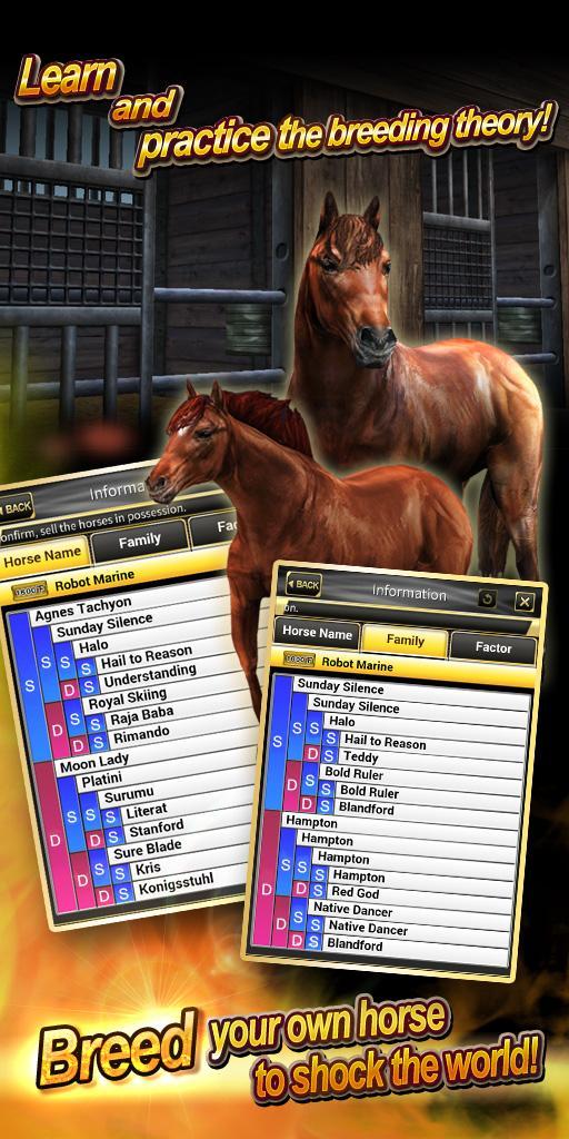 Real Horse Racing (3D)